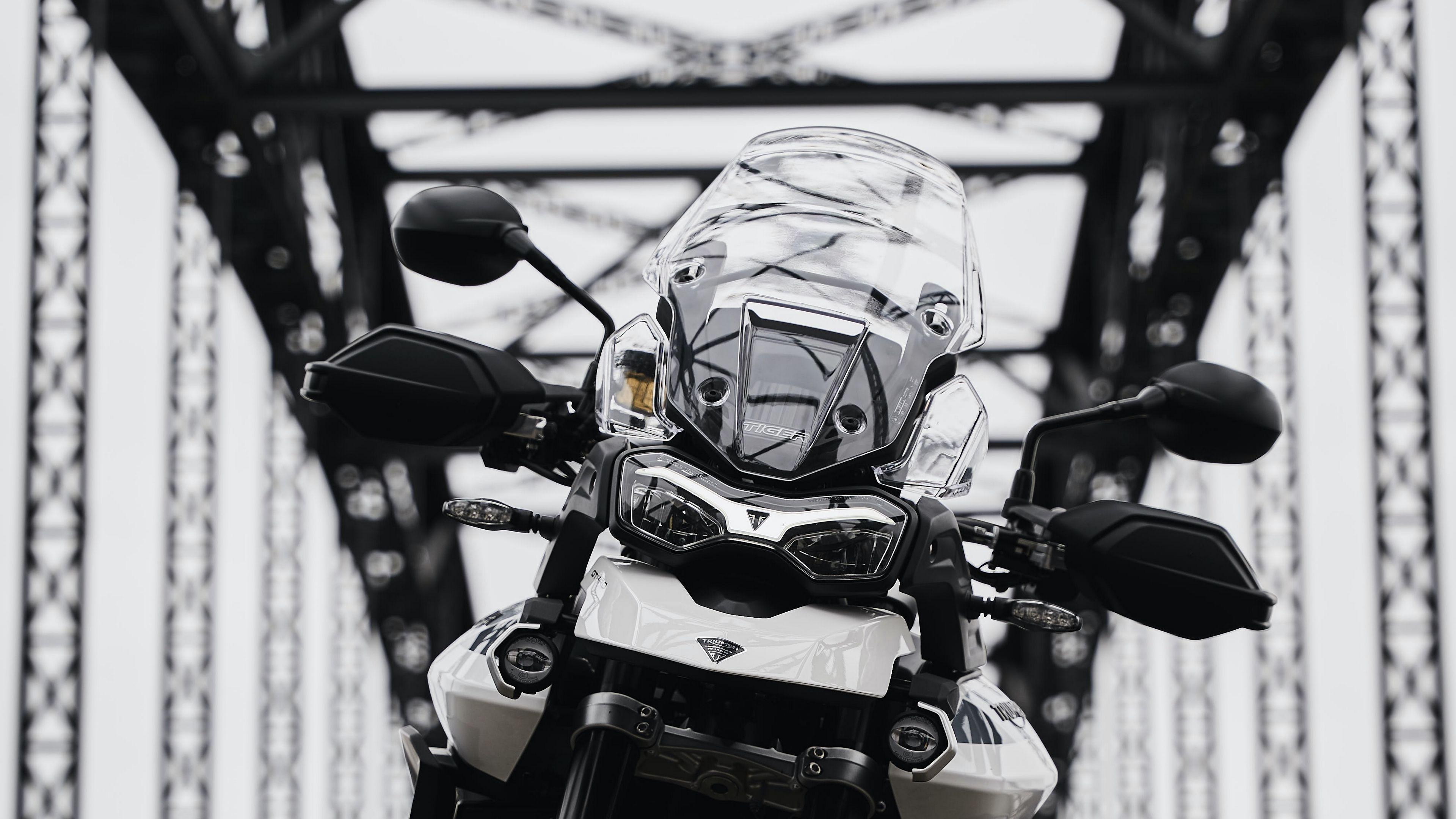 3840x2160 Download wallpaper 3840x2160 triumph tiger triumph, motorcycle, bike, front view 4k uhd 16:9 HD background