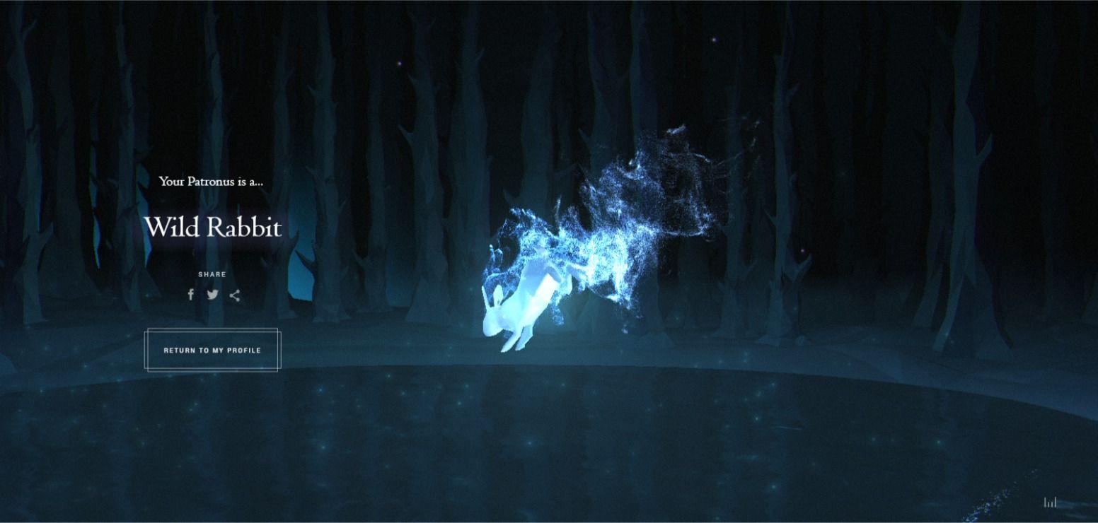 Rabbit Patronus Wallpapers Top Free Rabbit Patronus Backgrounds