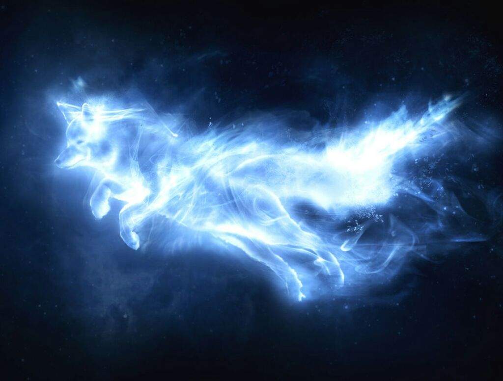 Rabbit Patronus Wallpapers Top Free Rabbit Patronus Backgrounds