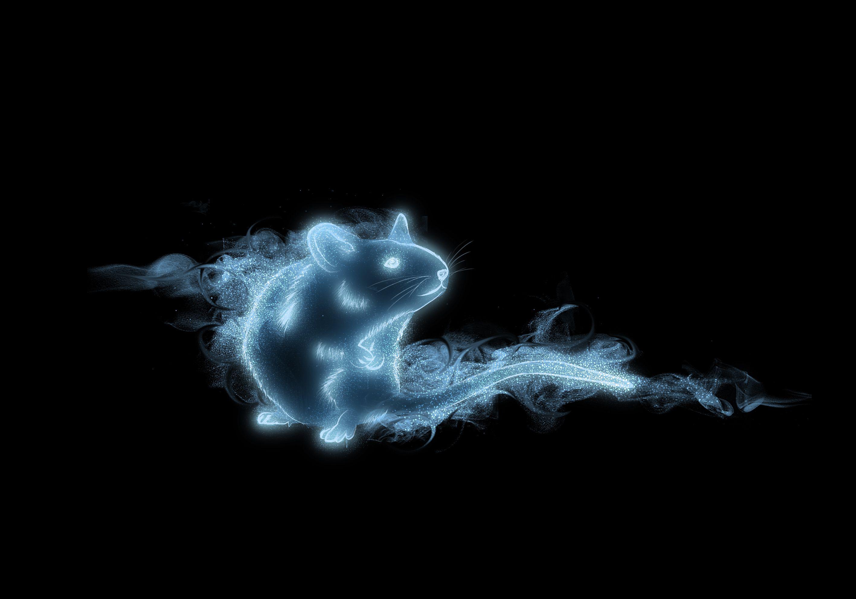 Rabbit Patronus Wallpapers Top Free Rabbit Patronus Backgrounds