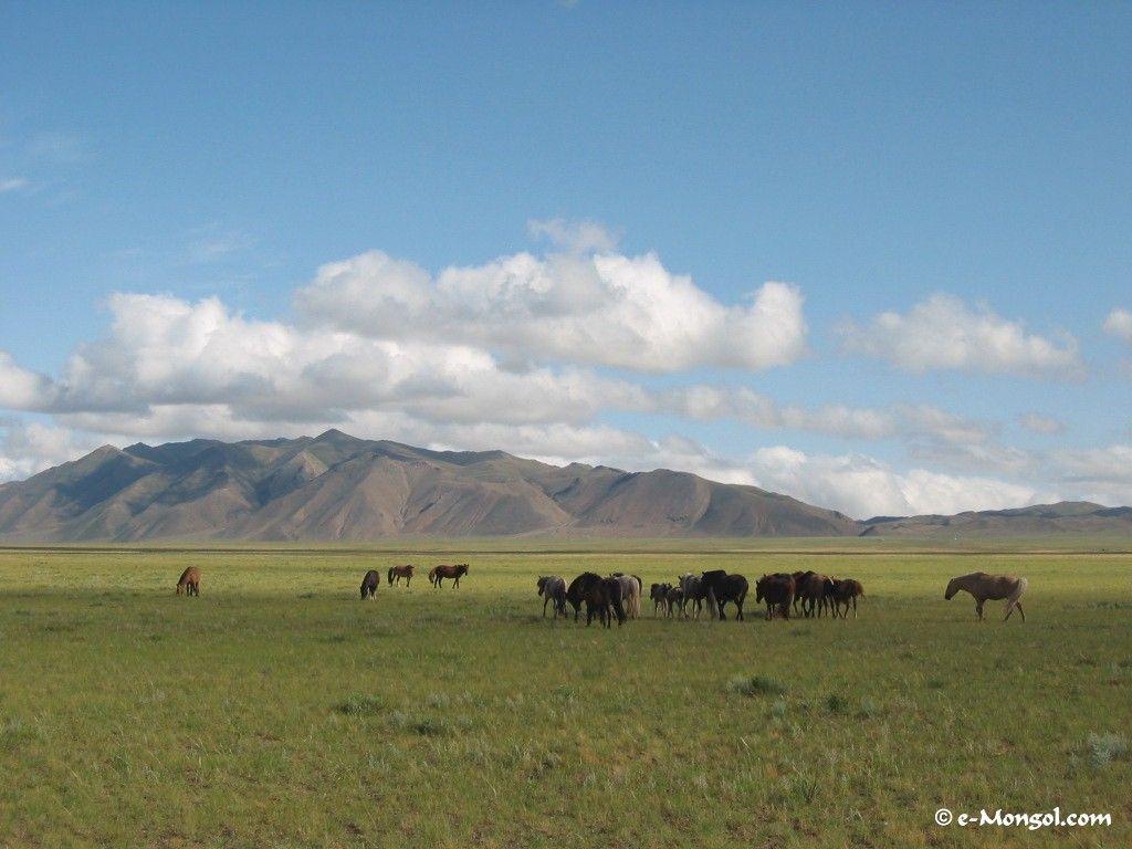 1024x768 Mongolia Wallpaper