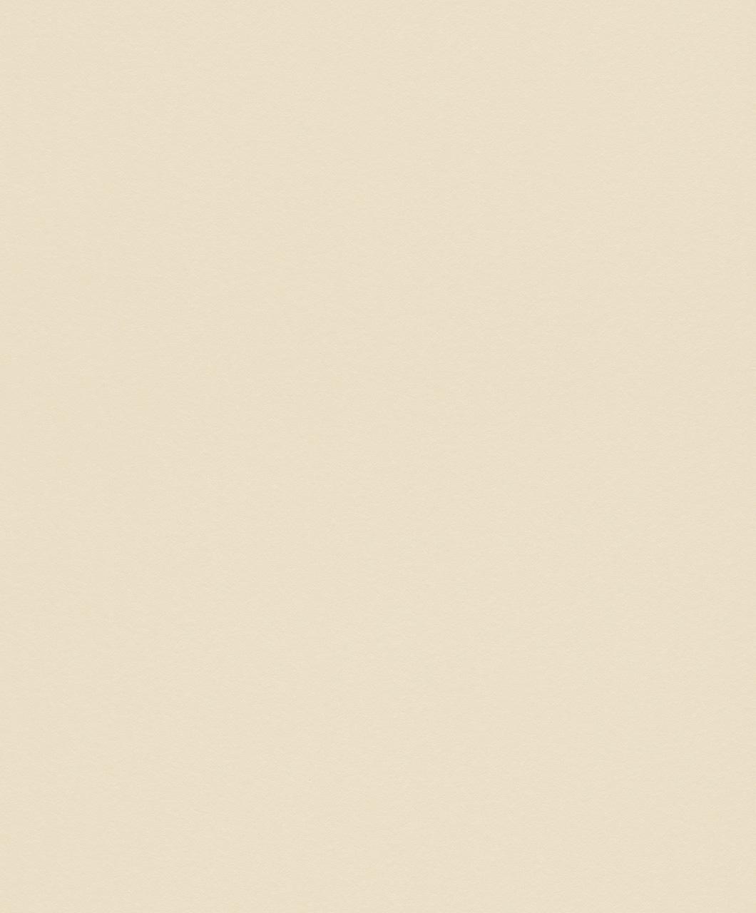 1060x1280 Non Woven Wallpaper Rasch Plain Beige 517415