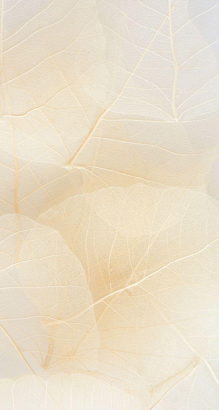 744x1392 iPhone Background. Nature iphone wallpaper, Beige wallpaper, Abstract wallpaper background