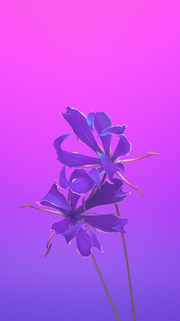 750x1334 iPhone X wallpaper. apple ios11 iphonex flower art illustration purple