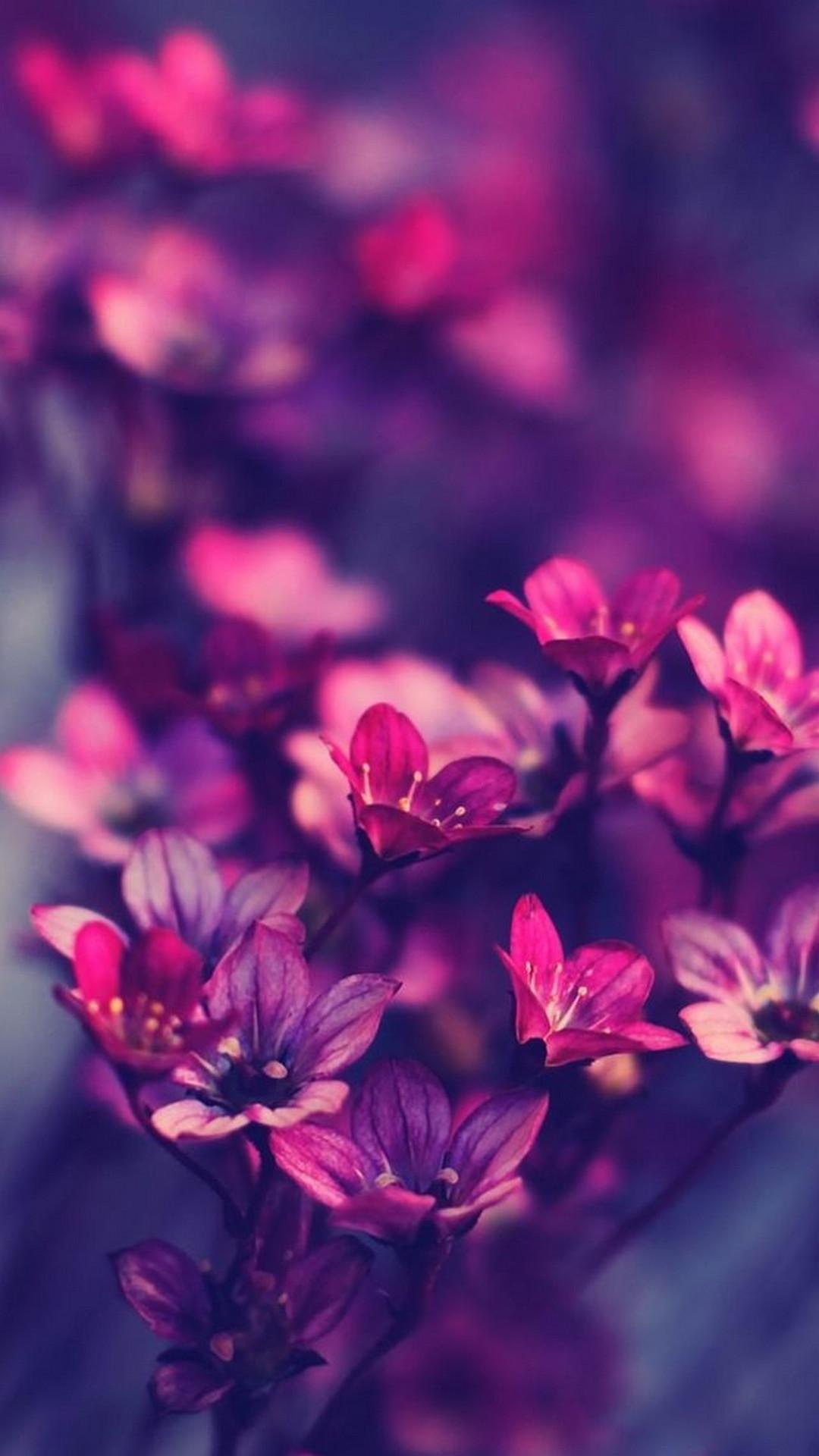 1080x1920 Flowers Purple iPhone Wallpaper HD Cute iPhone Wallpaper