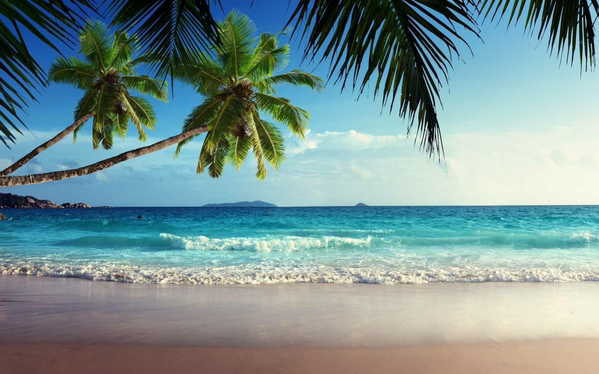 1920x1200 Tropical Beach Landscape Wallpaper: HD, 4K, 5K for PC and Mobile. Download free image for iPhone, Android
