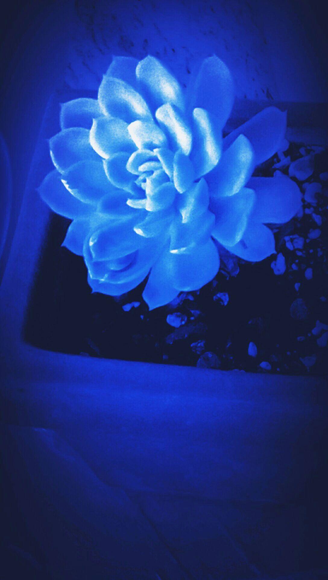 light blue aesthetic pics
