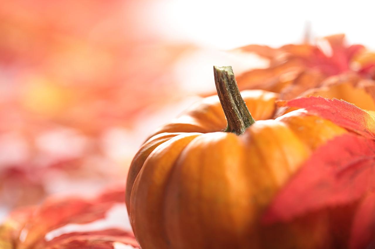 1280x853 Autumn Pumpkin