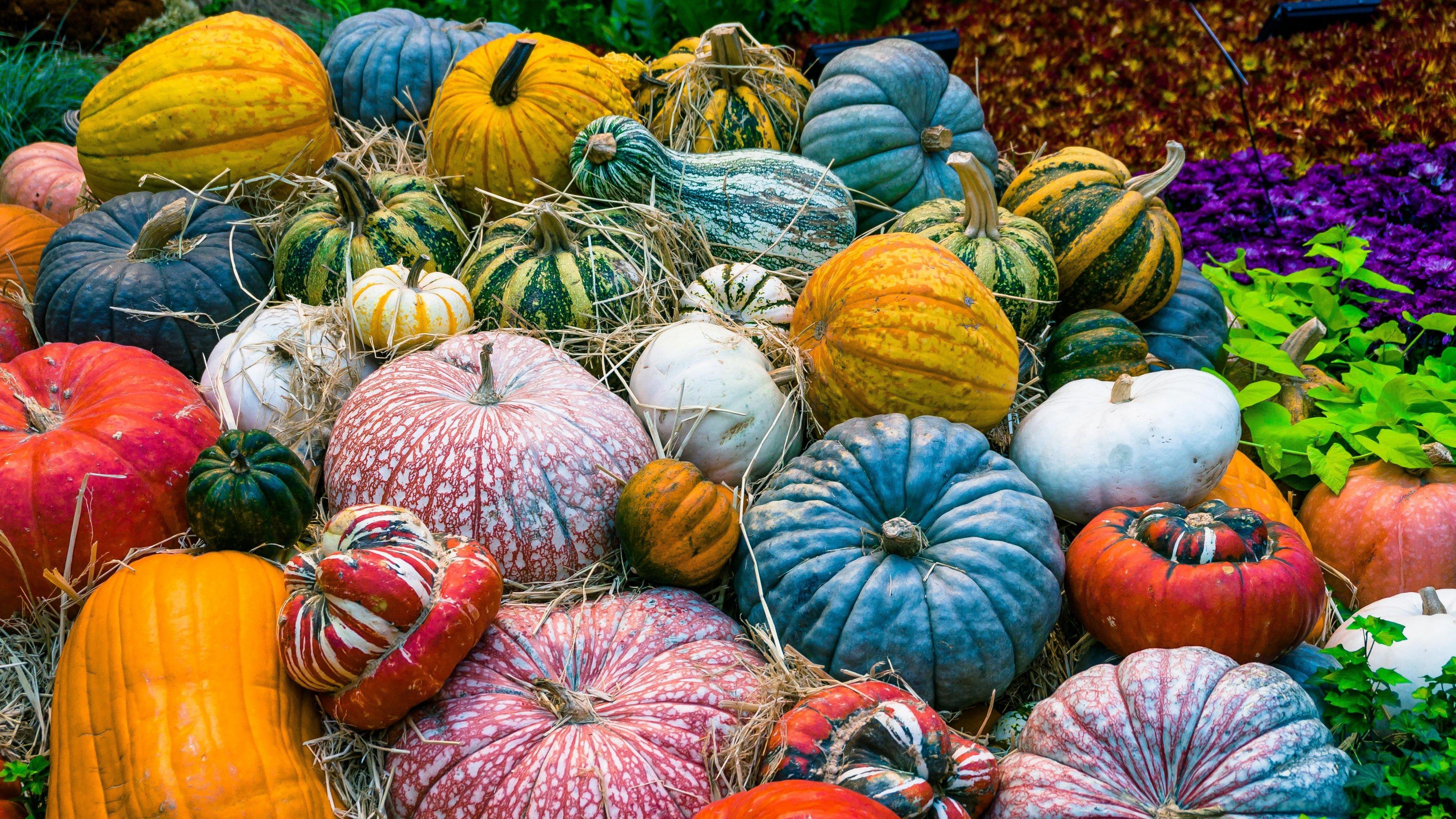 3840x2160 Pumpkin Fall Wallpaper iPad