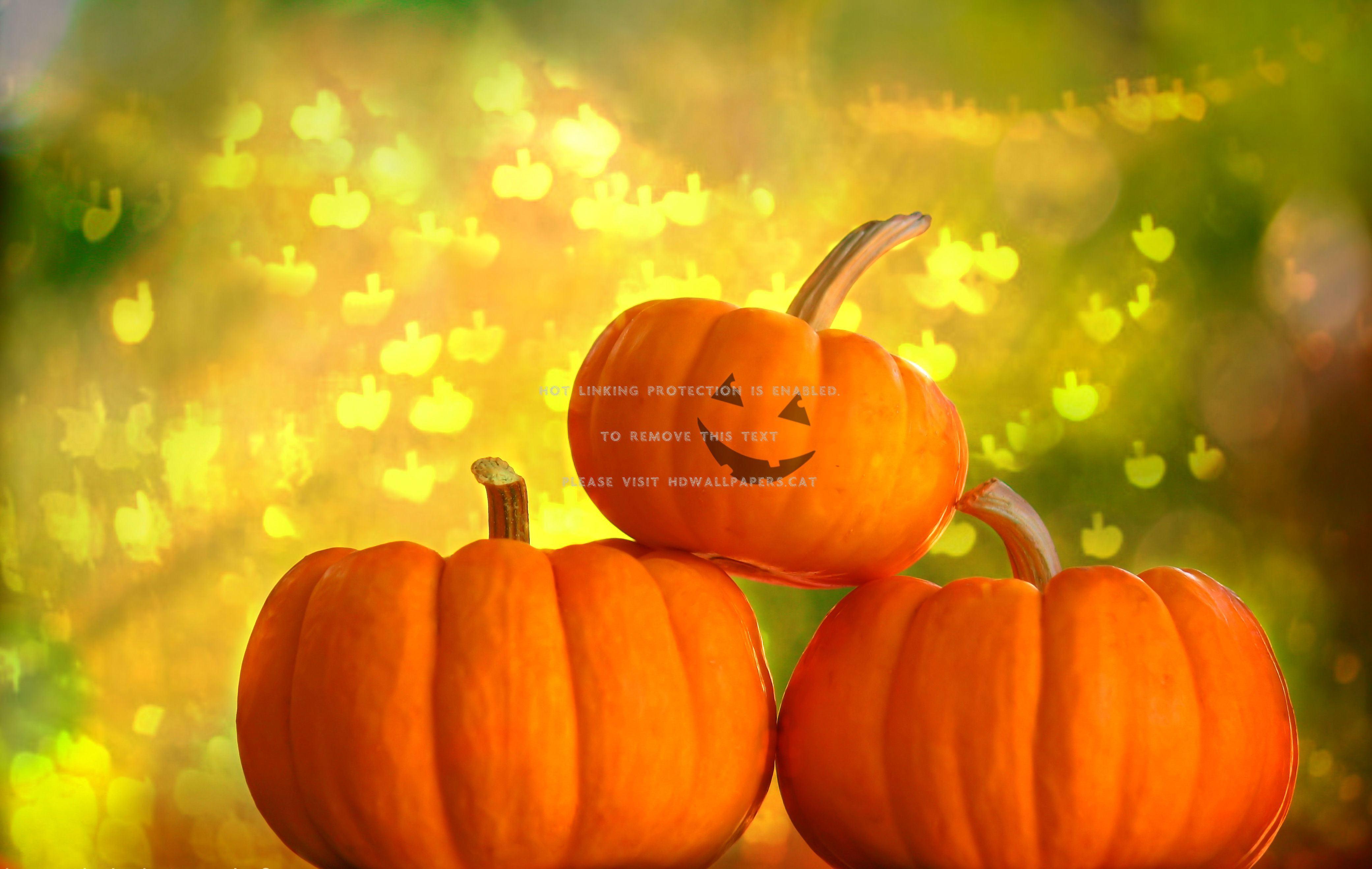 4162x2636 happy autumn pumpkin gourds halloween fall