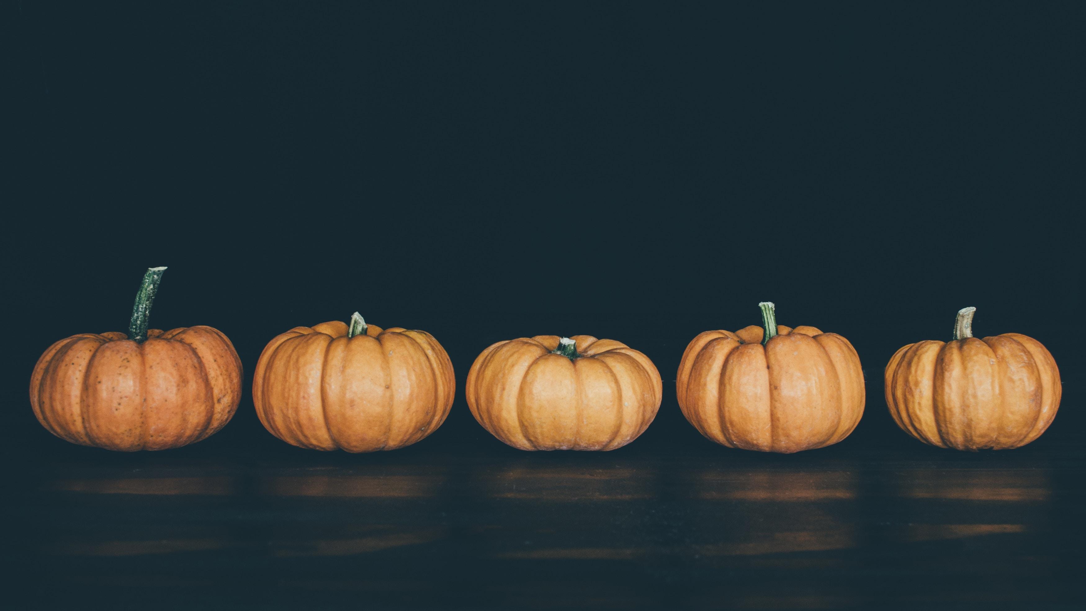 3500x1969 3500x1969 background, fall, eat, autumn, pumpkin, healthy, gourde, harvest, line up, decor, wallpaper, table, vegetable, fall color, Free , food, halloween, organic, nature