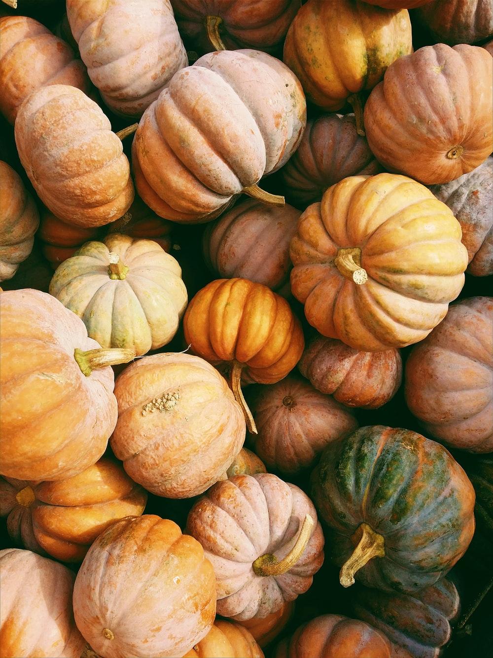 1000x1333 Autumn Pumpkin Picture. Download Free Image