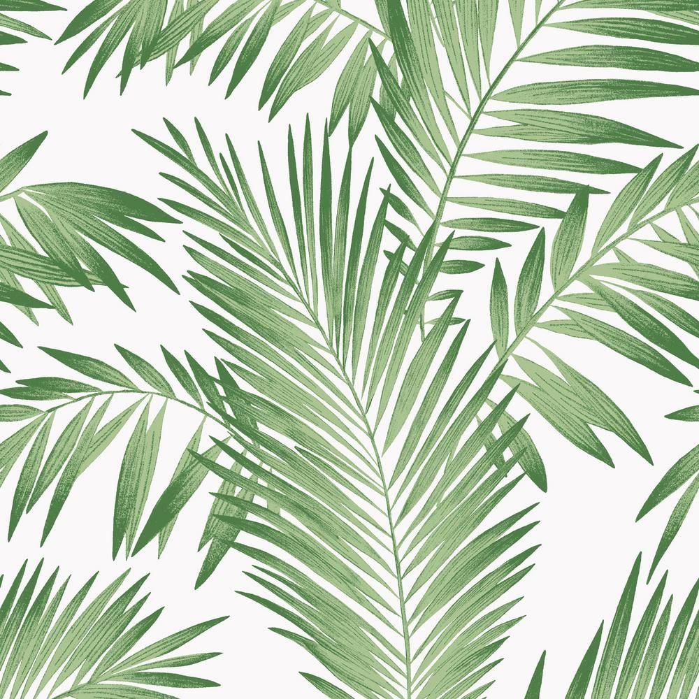 1000x1000 Arthouse Tropical Palm Green Wallpaper