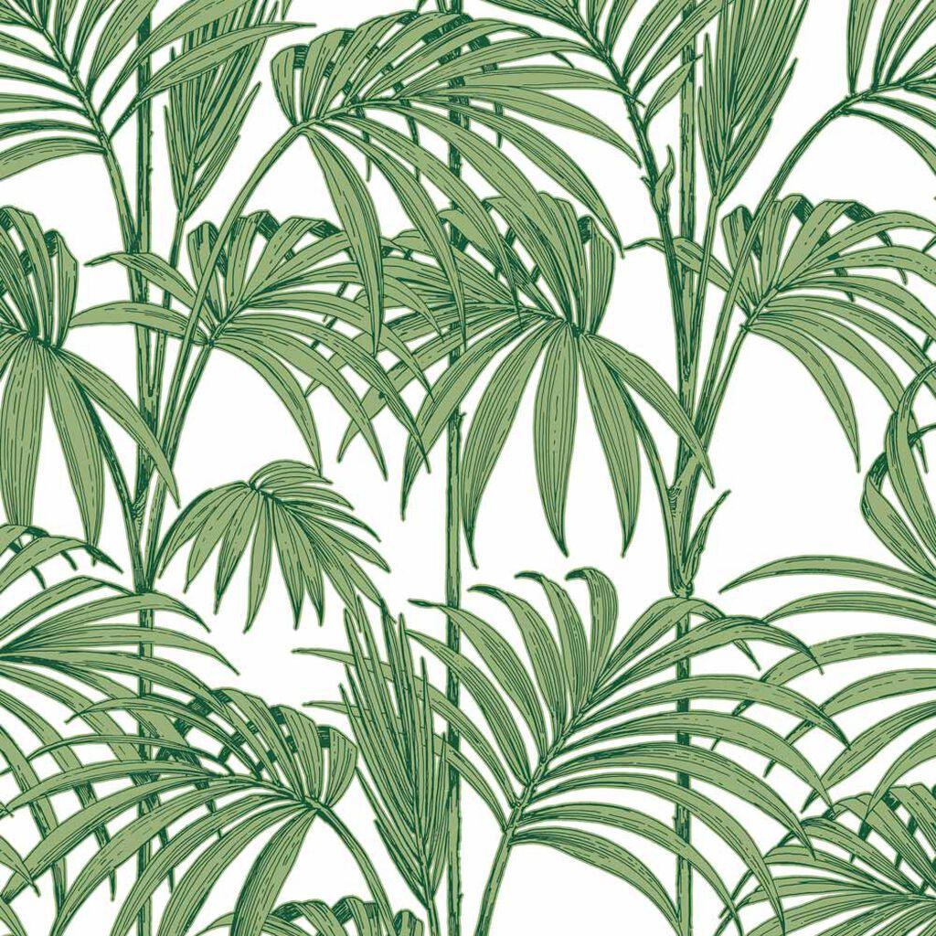 1024x1024 Honolulu Palm Green Wallpaper. Palm & Tropical Leaf Wallpaper