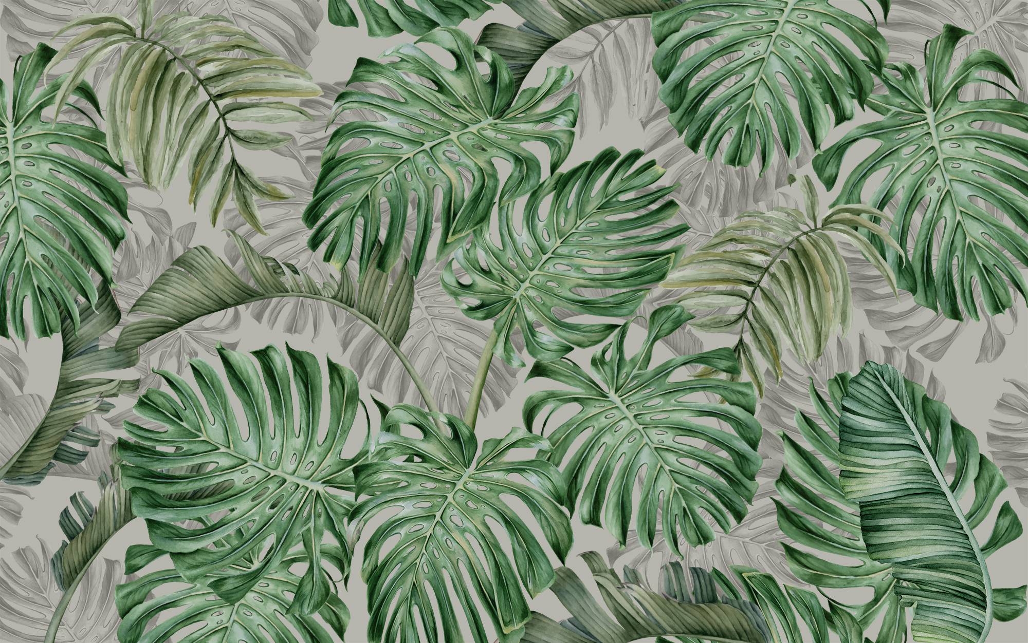 2000x1252 Muravie, Natural Green Wallpaper, Leaf Wall Poster, Tropical Leaves Wall