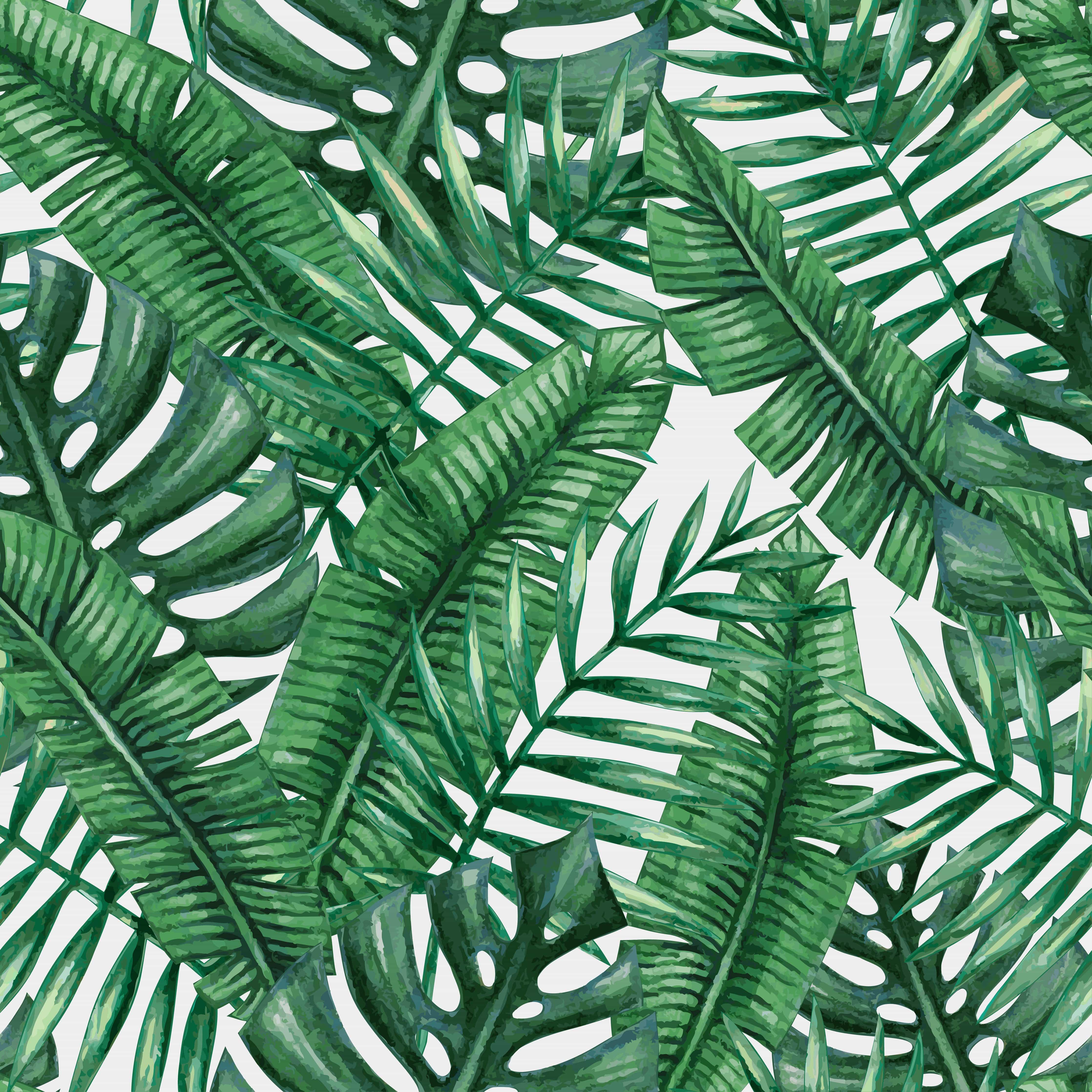 4472x4472 Green Tropical Leaves Wallpaper