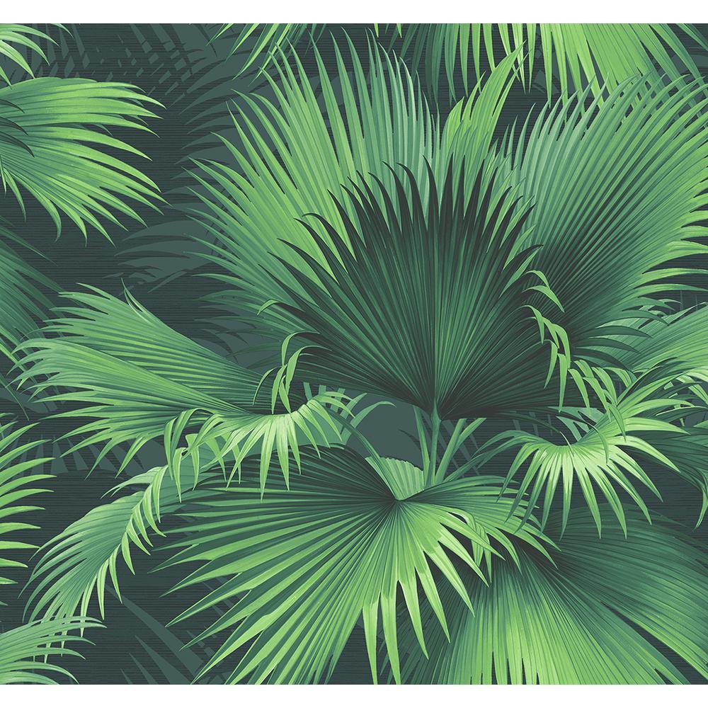 1000x1000 Kenneth James Endless Summer Dark Green Palm Dark Green Wallpaper Sample PS40104SAM Home Depot