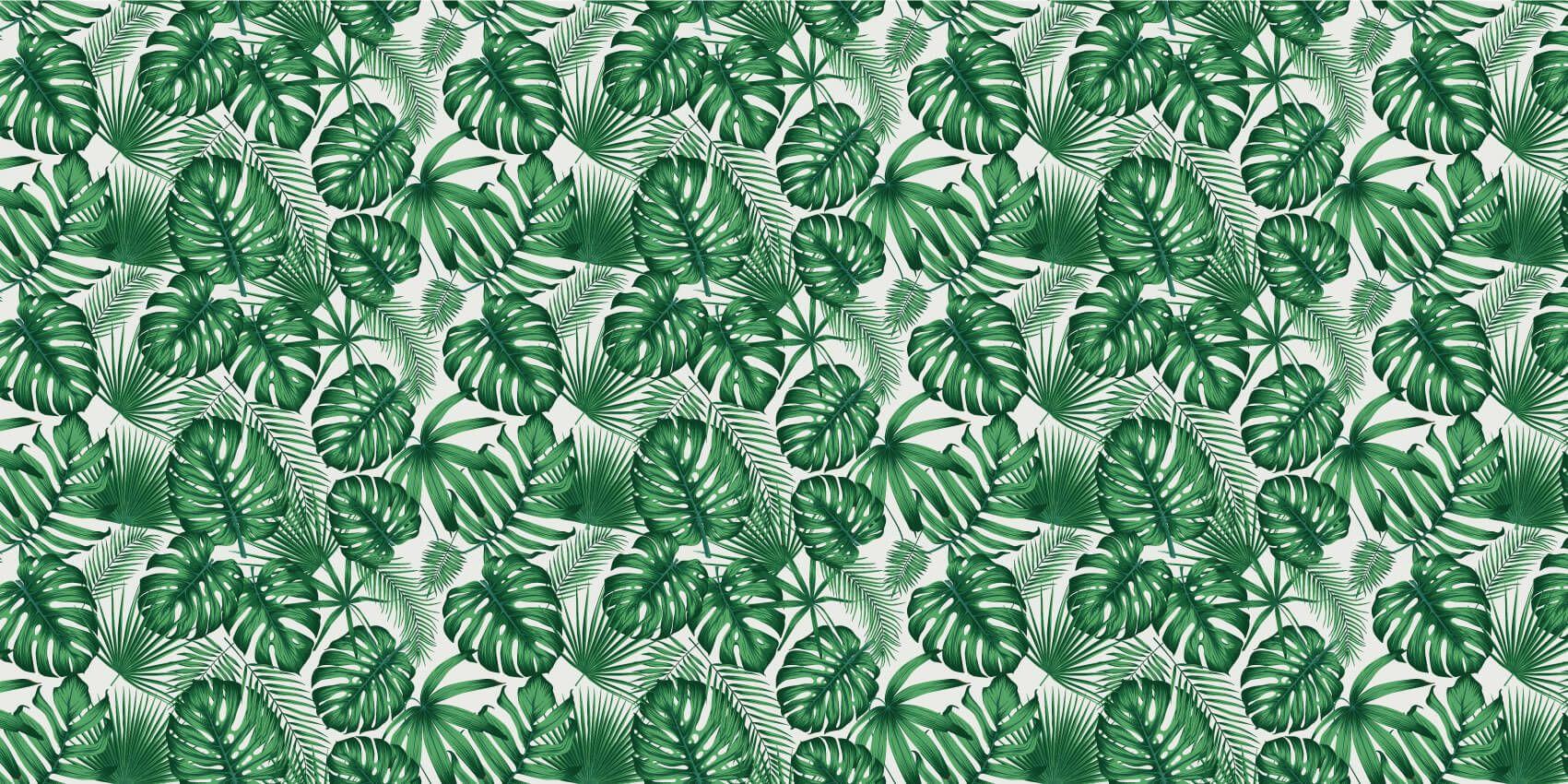 1701x850 Tropical leaves, green