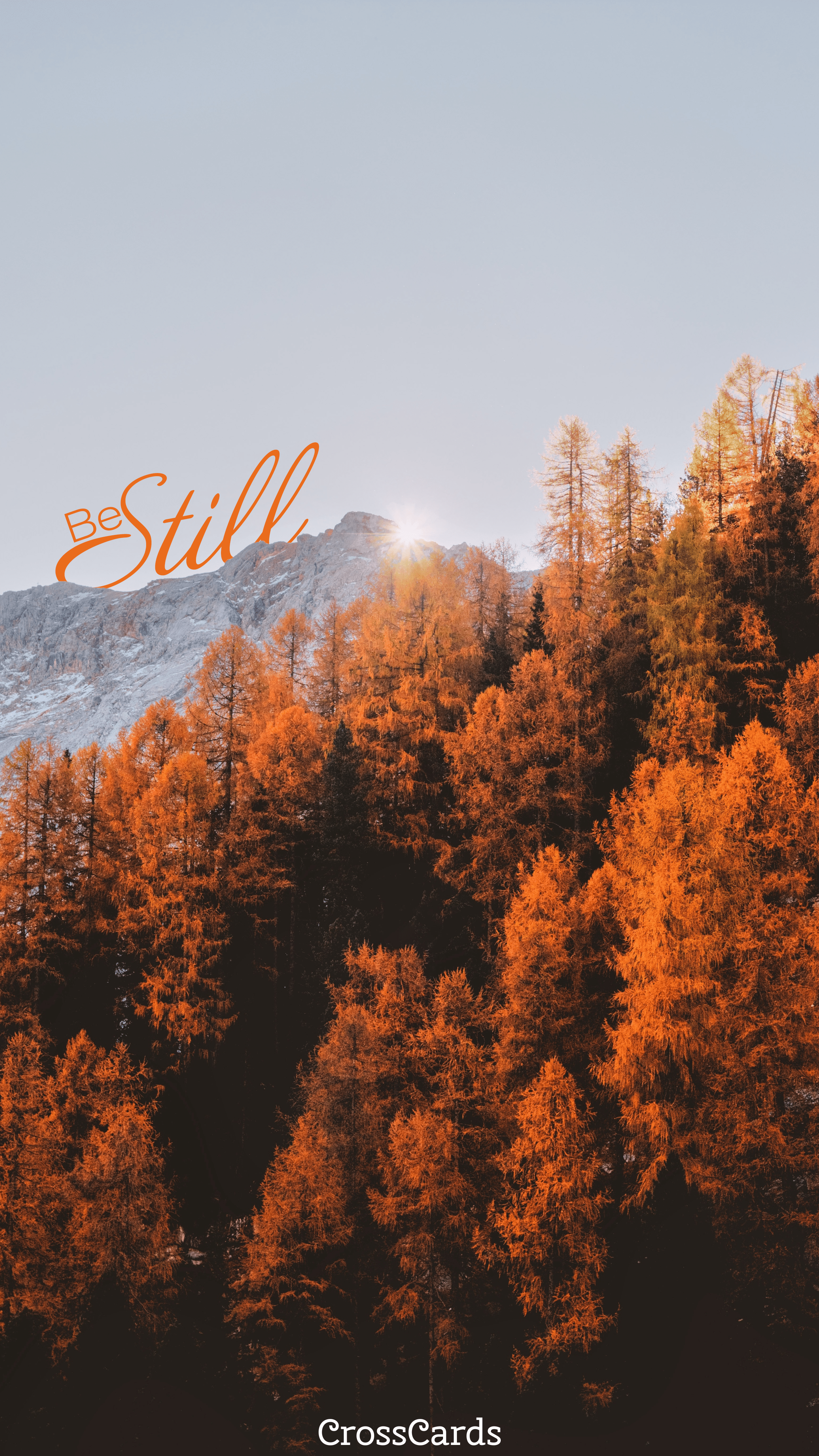 2298x4088 Be Still Fall Leaves Wallpaper and Mobile Background