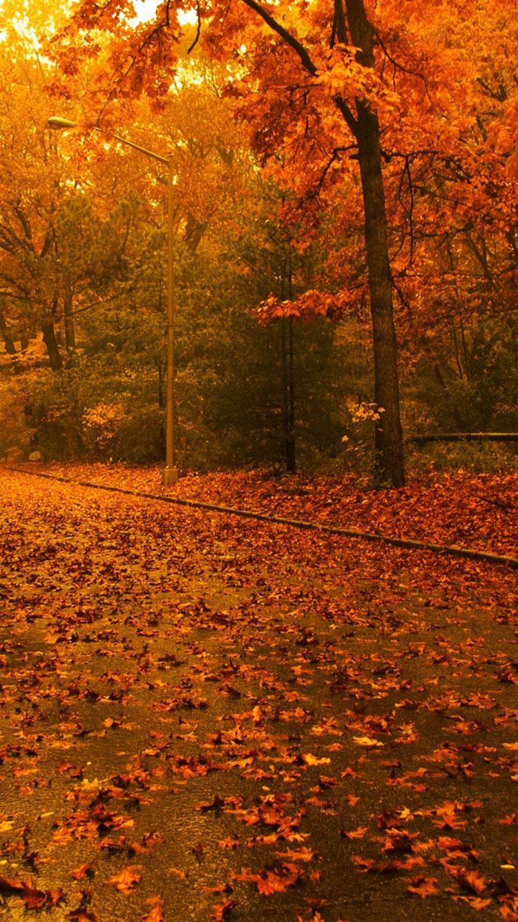 750x1334 Free Amazing Fall Wallpaper Background For iPhone