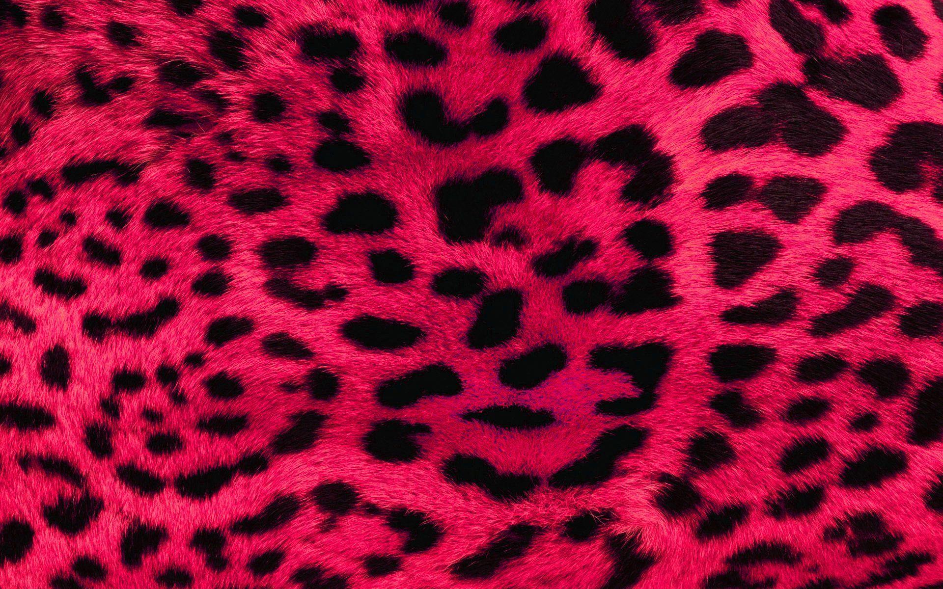 1920x1200 Leopard Print Pink Wallpaper