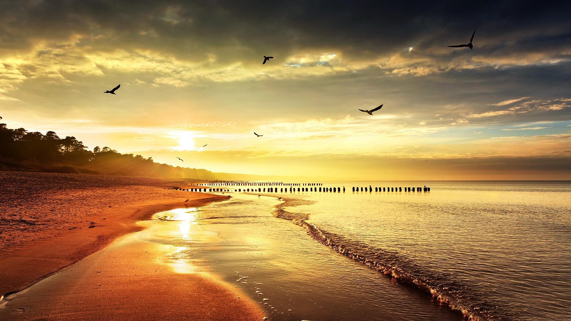 1920x1080 Free download Wallpaper Sunset HD wallpaper background image FHD 4k download [1920x1080] for your Desktop, Mobile & Tablet. Explore Lenovo 4K Wallpaper. Lenovo Windows 10 Wallpaper, Lenovo Wallpaper 1600x