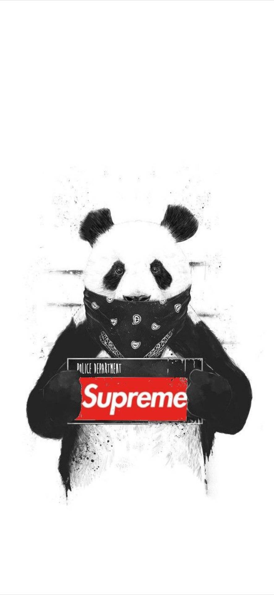 886x1920 Best Supreme iPhone Wallpaper
