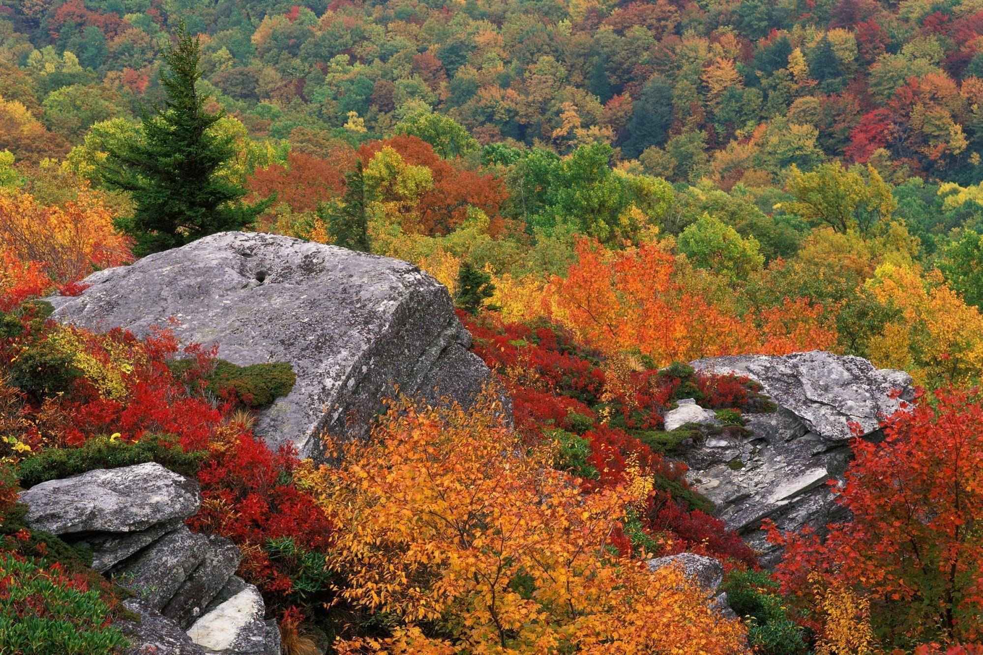 1999x1333 Blue Ridge Parkway Wallpaper