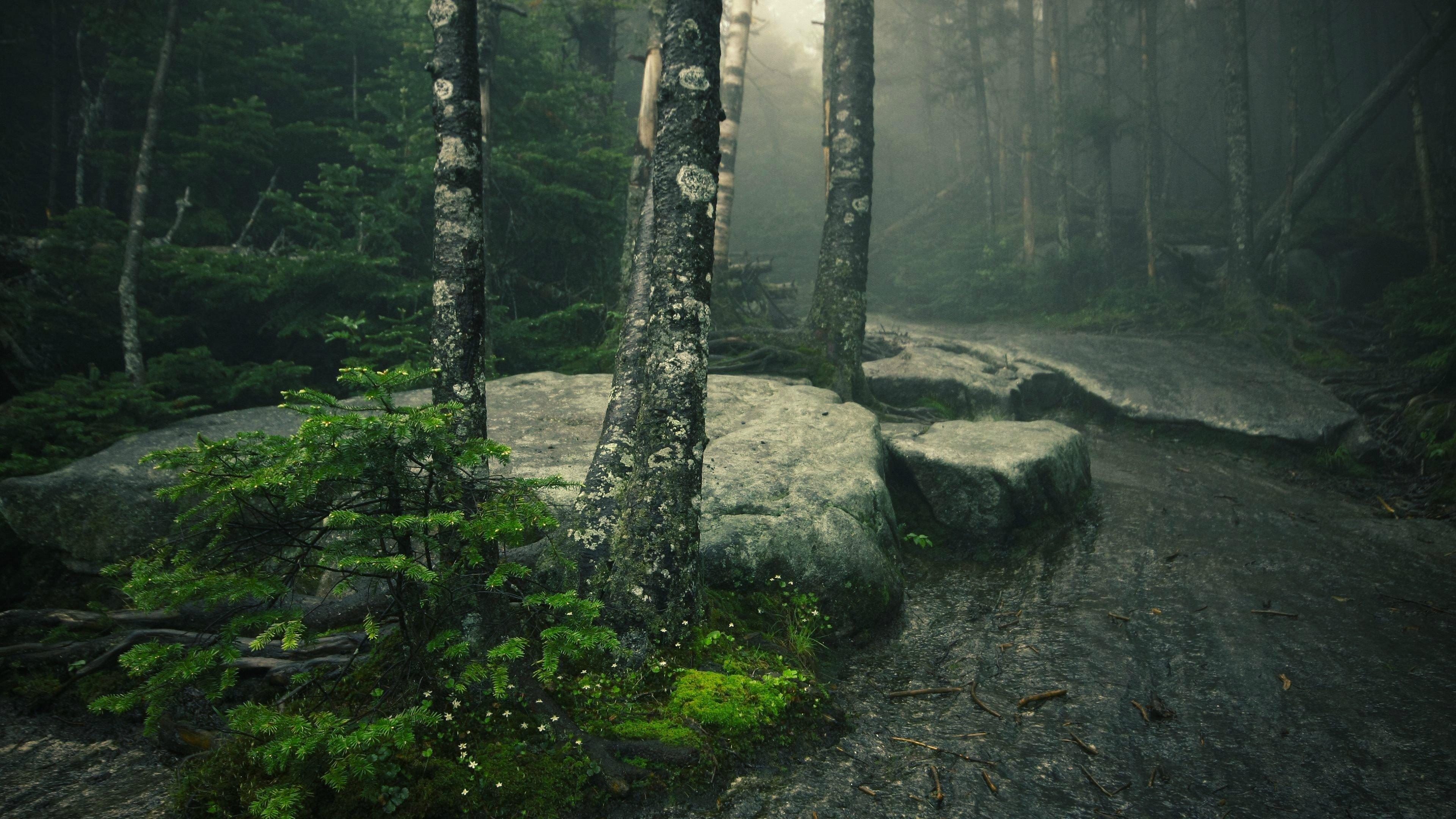3840x2160 Nature in Adirondack Mountains 4K wallpaper