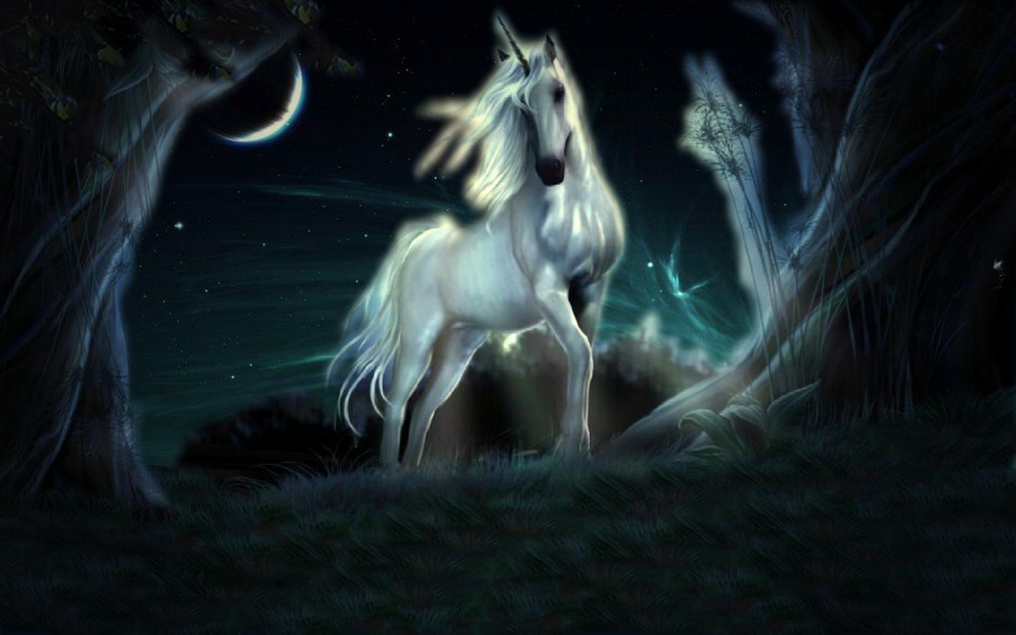 Mystical Unicorn Wallpapers Top Free Mystical Unicorn