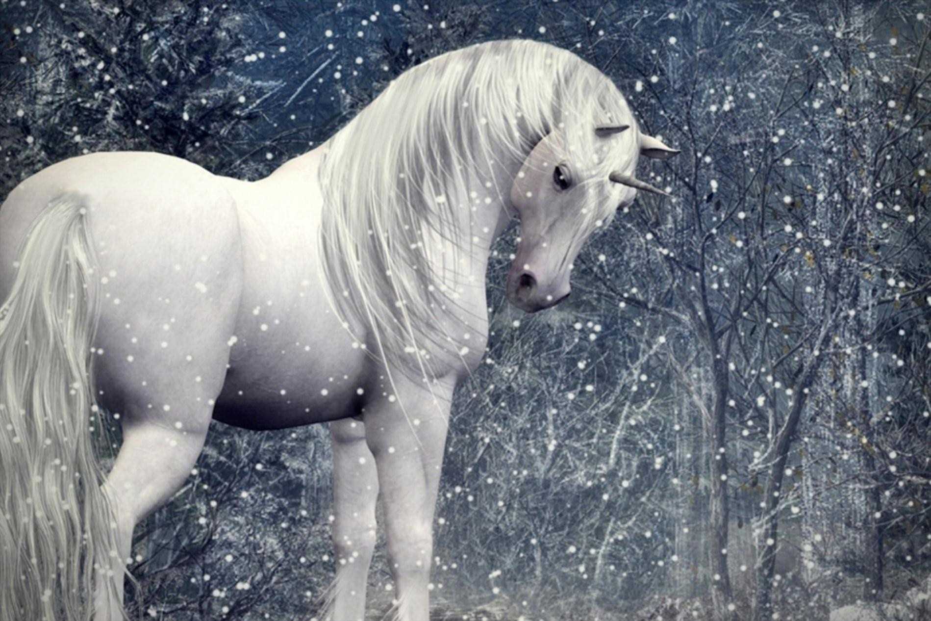 Белые кони кадышевой. Белая лошадь. Лошади в снегу. Единорог. Красивые Единороги.