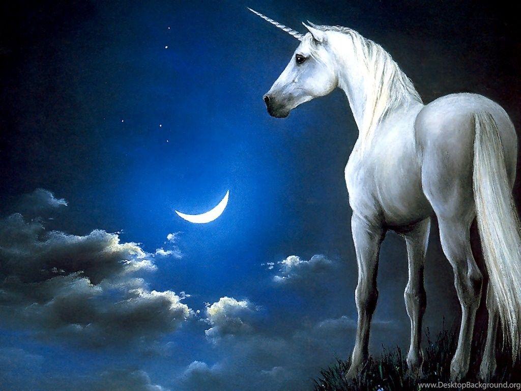 1024x768 High Resolution Awesome Fantasy Unicorn Wallpaper HD 4 Full Size
