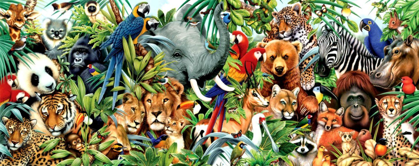 1440x570 Jungle Animal Wallpaperafari