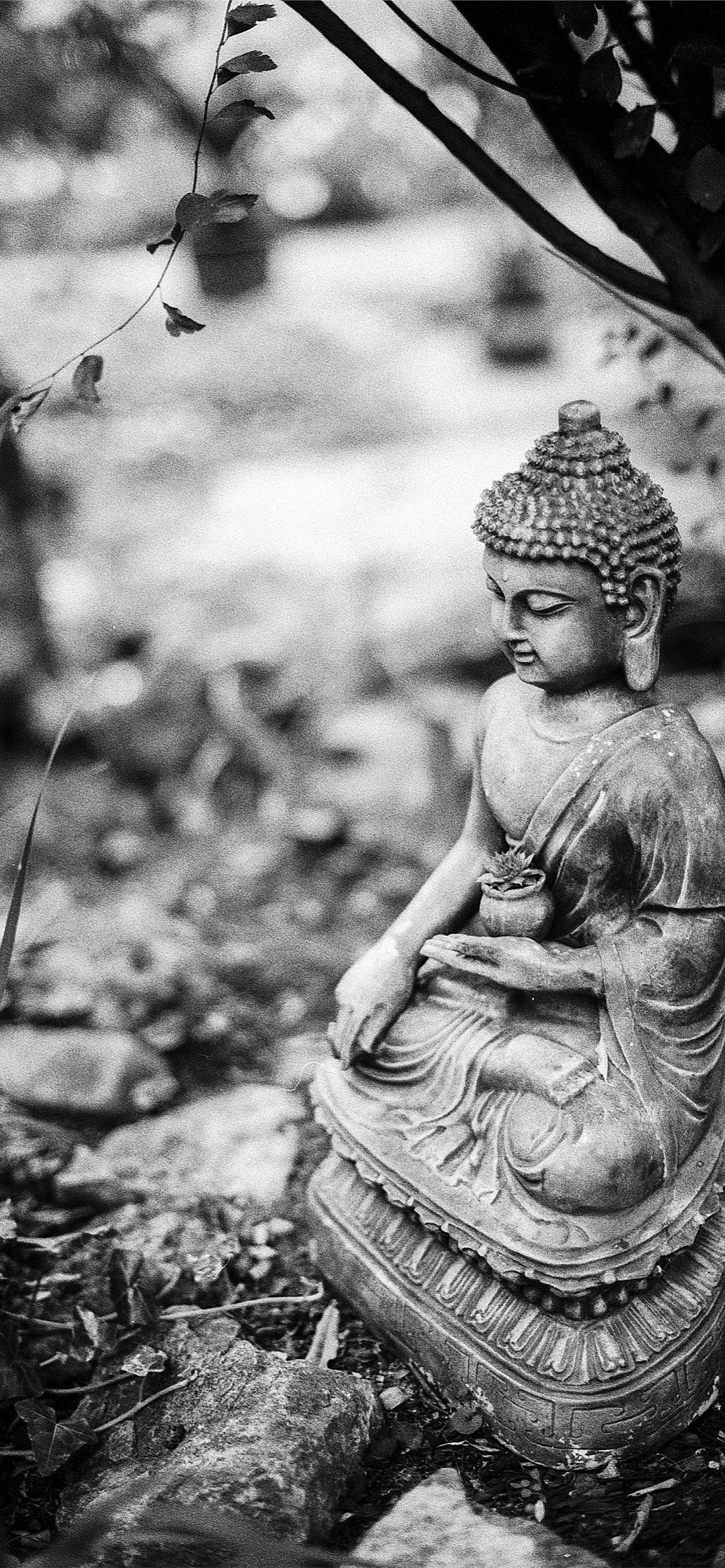 1284x2778 Best Buddha iPhone HD Wallpaper