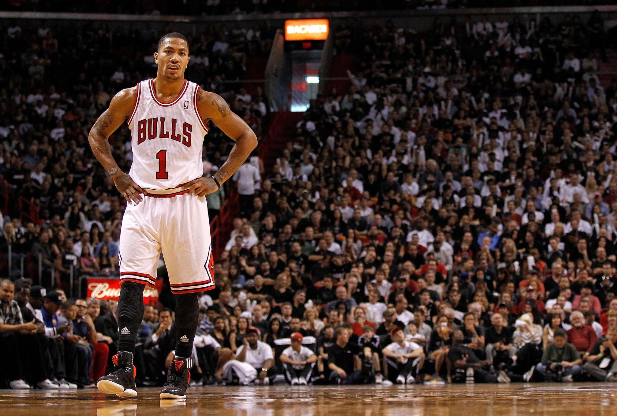 2048x1380 2048x1380 derrick rose desktop wallpaper HD pics