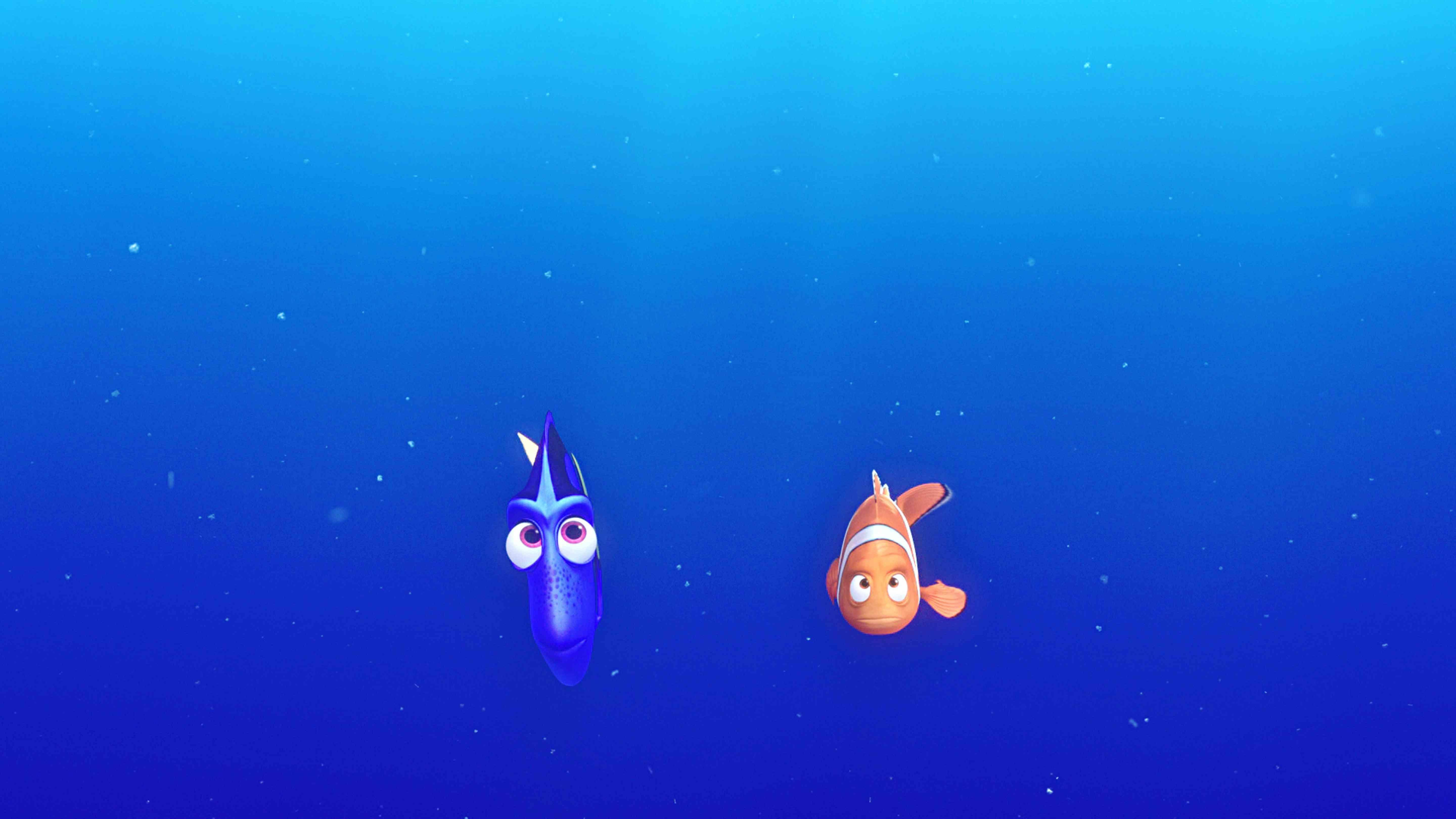 5760x3240 Free download Finding Dory Wallpaper [5760x3240] for your Desktop, Mobile & Tablet. Explore Finding Dory Wallpaper. Finding Dory Wallpaper, Dory Wallpaper, Finding Nemo Wallpaper