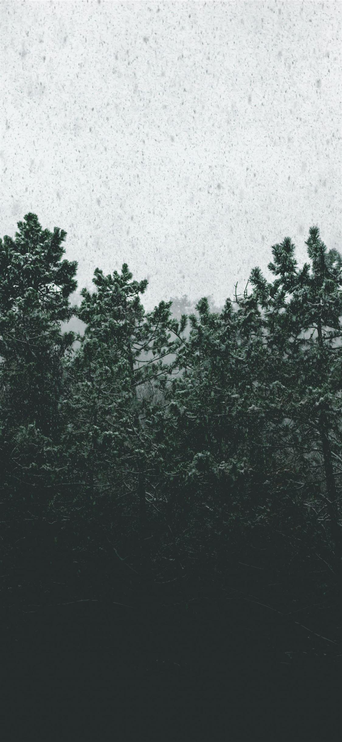 1125x2436 Best Grey iPhone 11 HD Wallpaper