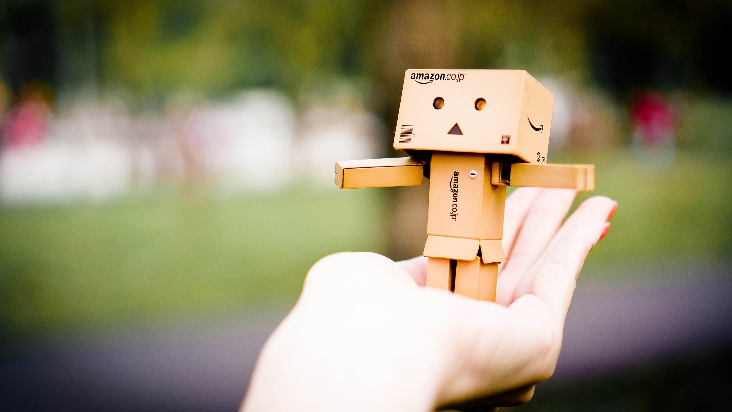 2560x1440 Amazon Danbo Wallpaper, HD Cute Wallpaper, 4k Wallpaper, Image, Background, Photos and Picture