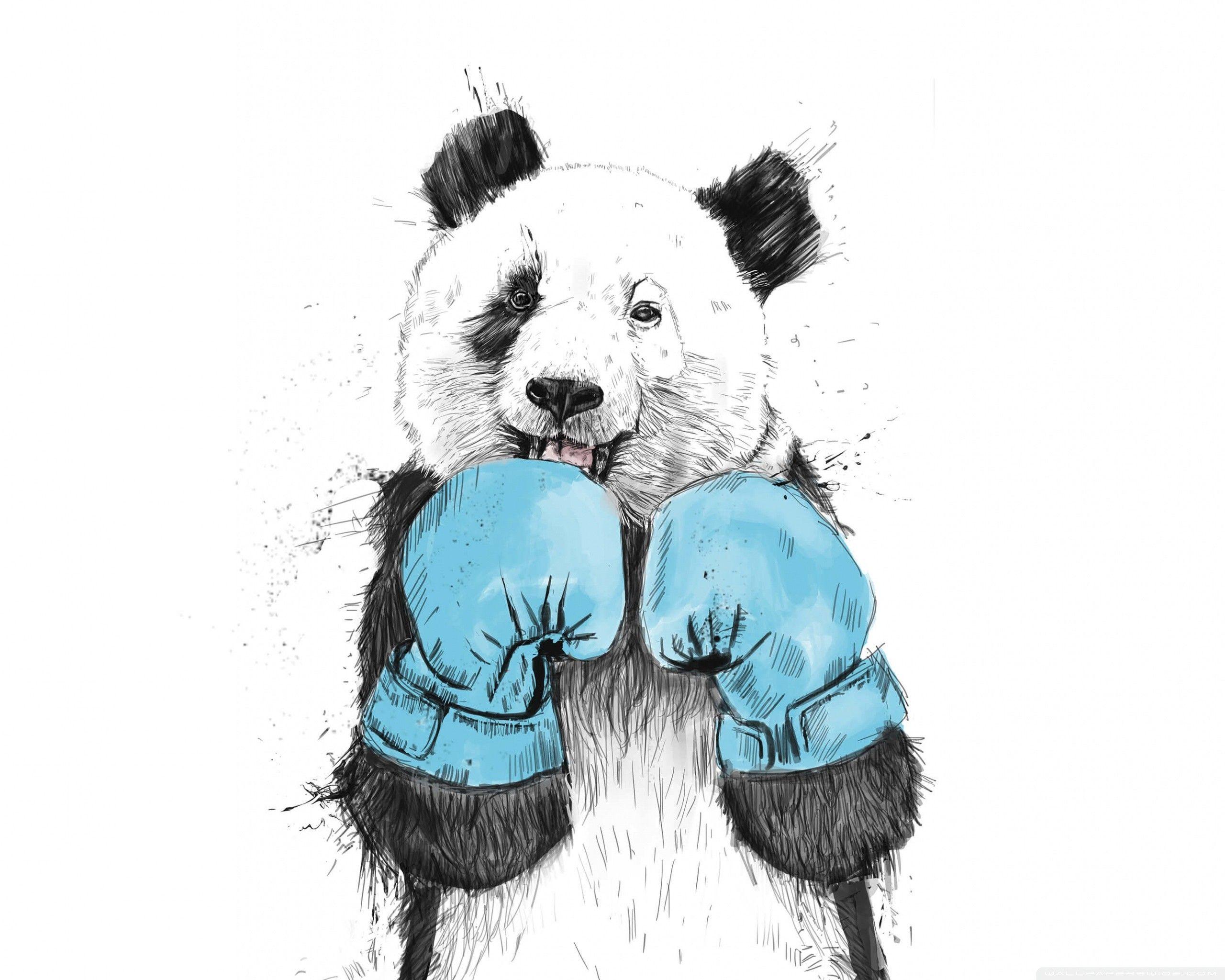 2560x2048 Animal Drawings Wallpaper