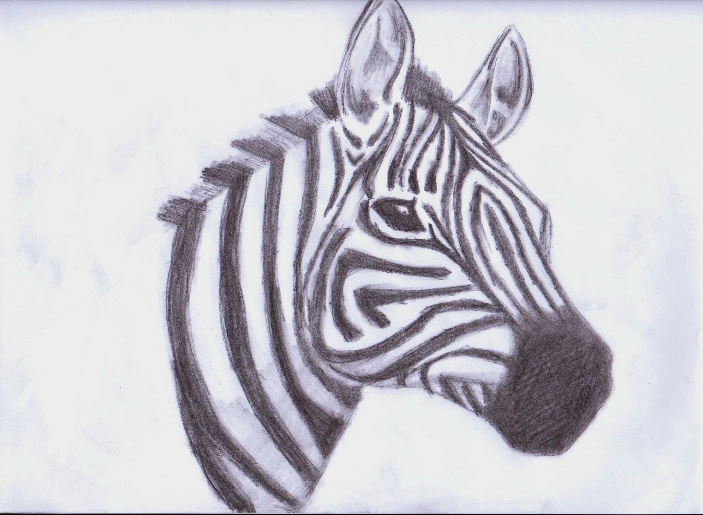 2320x1700 Free Drawing Animals, Download Free Drawing Animals png image, Free ClipArts on Clipart Library