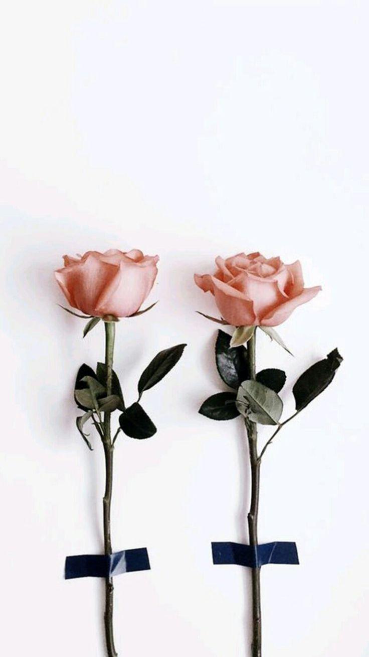 736x1308 Phone & Celular Wallpaper : Flowers ❤.net. Leading