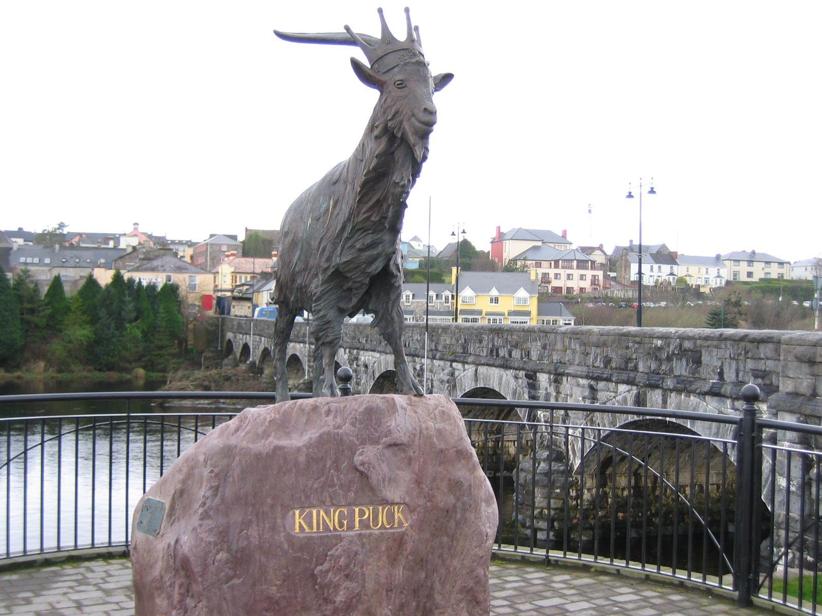 1600x1200 Thousands expected to attend annual Puck Fair festival