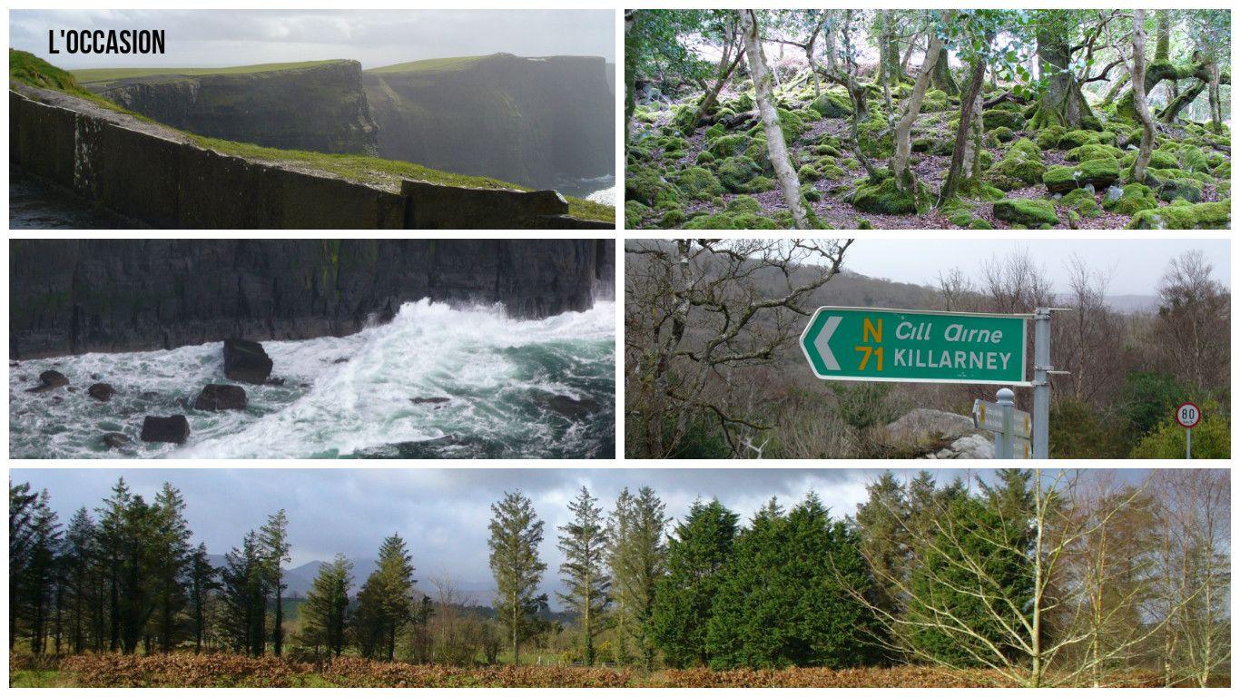 1366x768 The Wines of Ireland