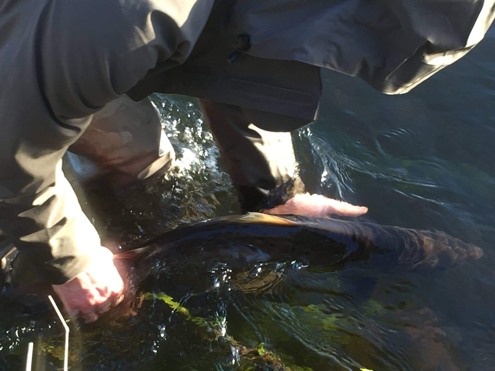 2048x1536 Irish Angling Update Irish Angling Update