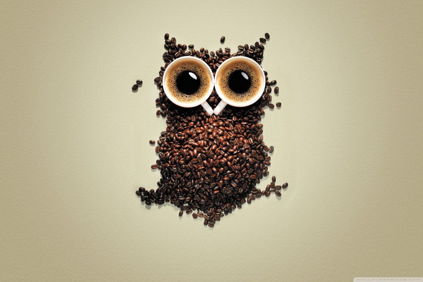 1440x960 Black Owl Wallpaper