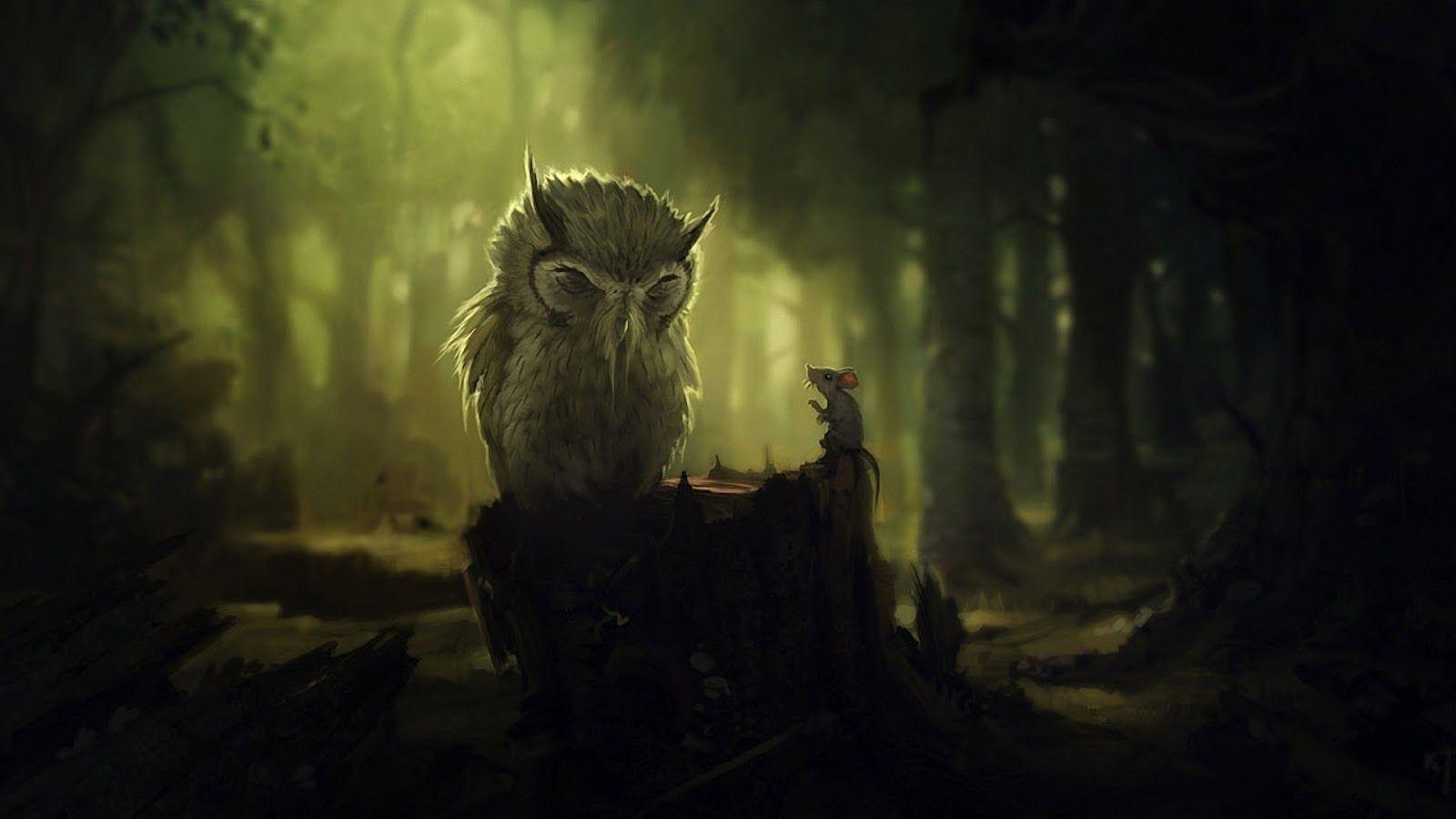 1600x900 Black Owl Wallpaper