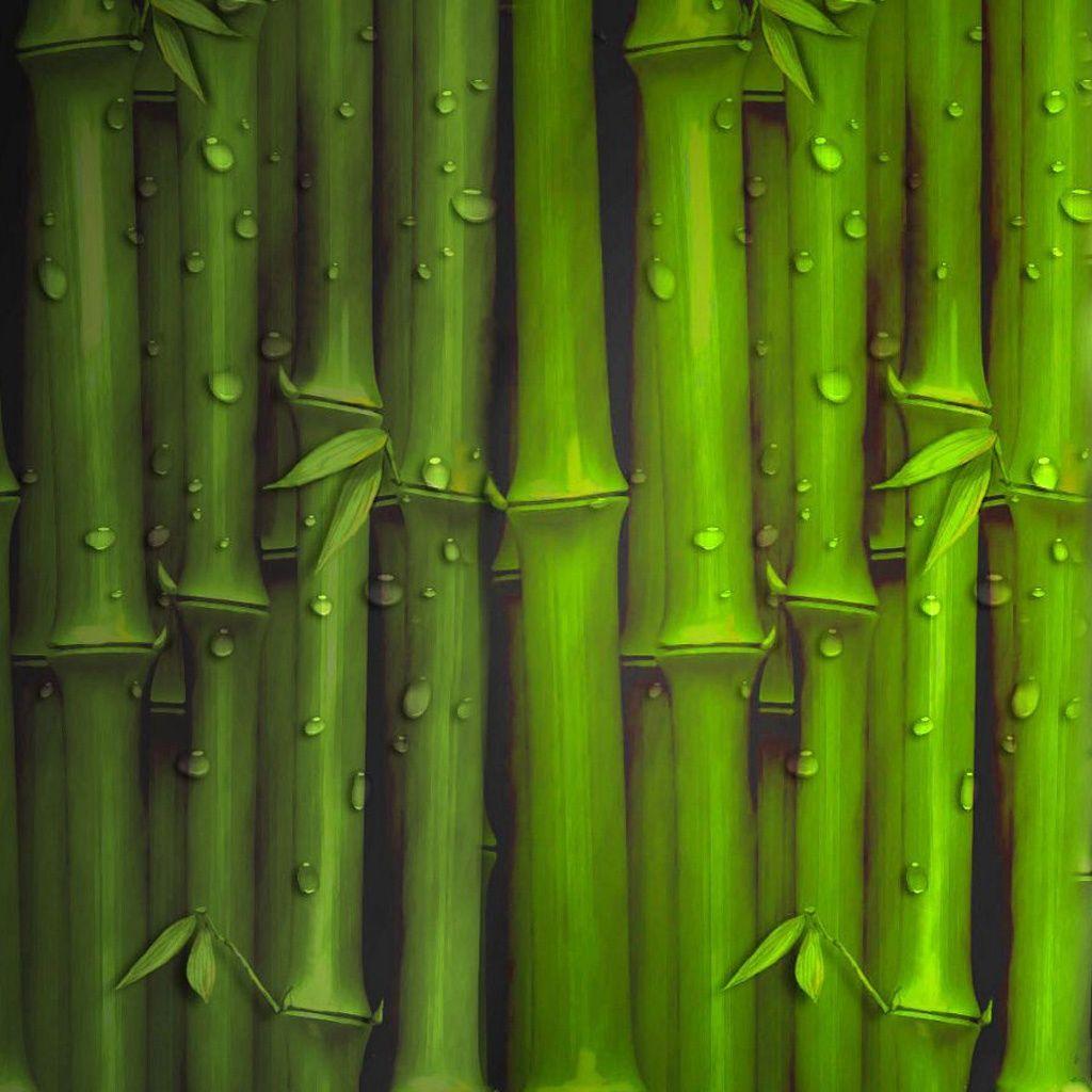Bamboo iPhone Wallpapers - Top Free Bamboo iPhone Backgrounds