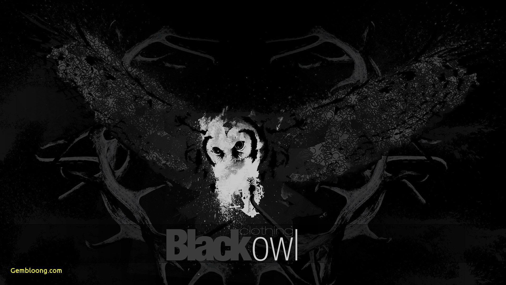 Owl Wallpaper 4K, Dark background, Moonlight, Blue