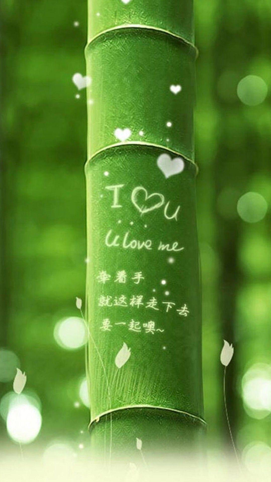 1080x1920 I Love You Green Bamboo iPhone 6 Plus HD Wallpaper HD