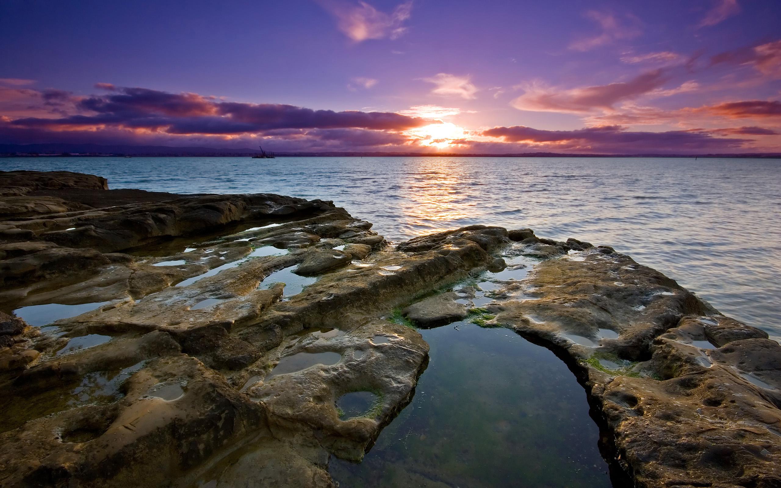 2560x1600 Auckland Sunset, HD Nature, 4k Wallpaper, Image, Background, Photo and Picture